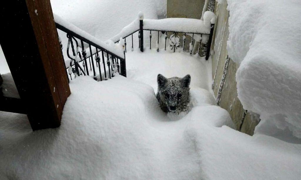 La ‘nevadona’ que nos hizo ver la cruda realidad…